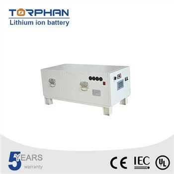 Batteria LiFePO4 con Bms