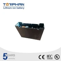 Batterie Lifepo4 Carrello elevatore agli ioni di litio